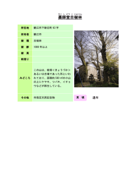 34丹南：薬師堂古樹林（PDF形式 191キロバイト）