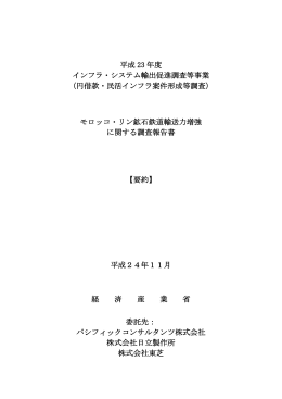 報告書要約（和文）