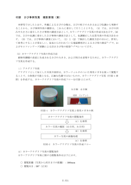 付録 さび事例写真 撮影要領（案） P.付1