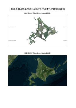 航空写真と衛星写真によるデジタルオルソ画像の比較