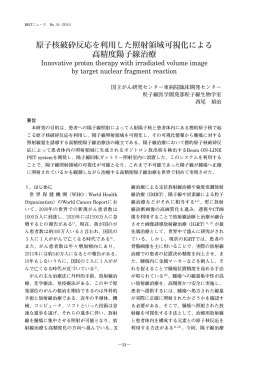 原子核破砕反応を利用した照射領域可視化による 高精度陽子線治療
