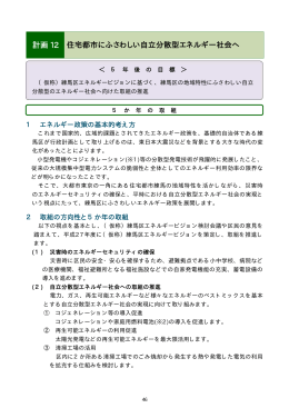 計画12 住宅都市にふさわしい自立分散型エネルギー社会へ（PDF：86KB）