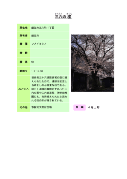 16丹南：三六の桜（PDF形式 175キロバイト）
