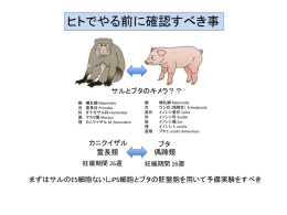 ヒトでやる前に確認すべき事