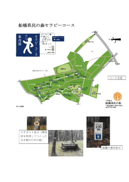 船橋県民の森セラピーコース