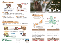 本体 - 兵庫県森林動物研究センター