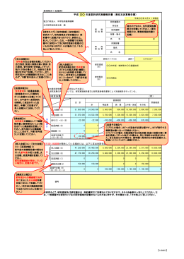 平成 年度委託研究実績報告書（兼収支決算報告書）