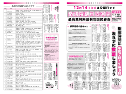 衆議院議員総選挙