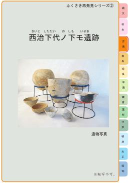 西治下代ノ下モ遺跡 (ファイル名：panf02 サイズ：12.29MB)