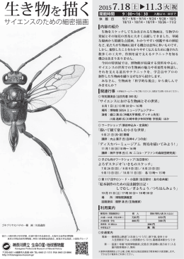 ゴキブリヤセバチの一種 画：川島逸郎