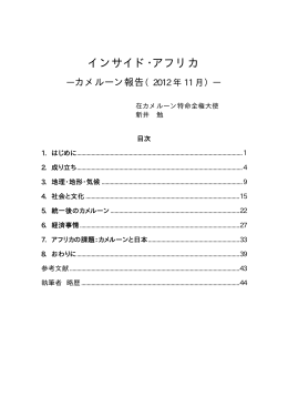 インサイド・アフリカ―カメルーン報告