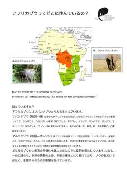 2.アフリカゾウってどこに住んでいるの？