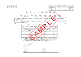 平 成 21 年 度 世 帯 調 査 票