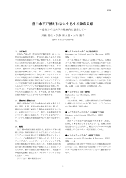 豊田市平戸橋町波岩に生息する陸産貝類