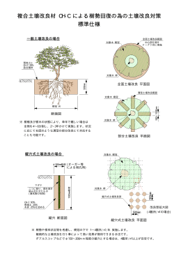 樹勢回復のための土壌改良手法