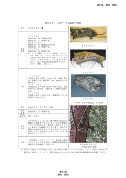 注目すべき種等（PDF：2443KB）