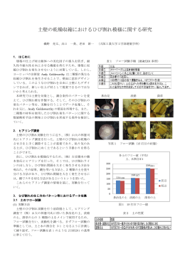 土壁の乾燥収縮におけるひび割れ模様に関する研究