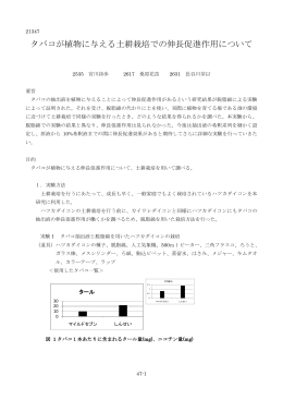 タバコが植物に与える土耕栽培での伸長促進作用について