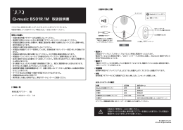 使用上のお願い ・付属の専用充電アダプター以外は使用しないで