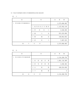 （8）平成21年度茨城県立医療大学付属病院特別会計歳入歳出決算 歳