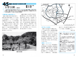 45 口渡り鳥の訪れる身近な公園