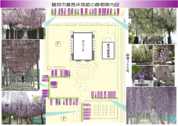 藤島体育館の藤棚案内図