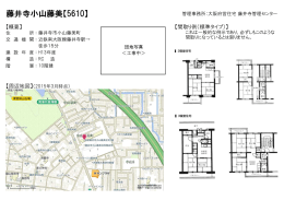 藤井寺小山藤美【5610】