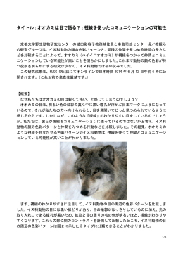 タイトル：オオカミは目で語る？：視線を使った