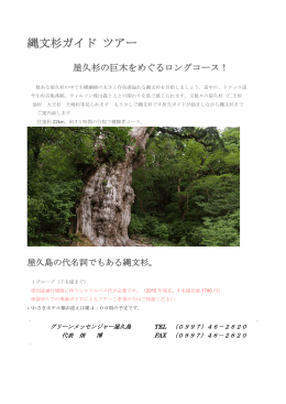 縄文杉ガイド ツアー - 屋久島いわさきホテル