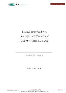bit-drive 設定マニュアル メールチェックゲートウェイ DNS サーバ設定