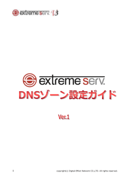 extremeserv. DNSゾーン設定ガイド