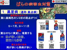1．黒星病（通称黒点病）