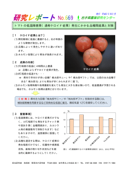 トマトの低温障害果（通称ケロイド症果）発生にかかる品種間