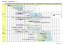 基幹系情報システム構築に係る実施スケジュール