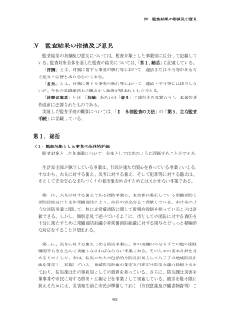 Ⅳ 監査結果の指摘及び意見