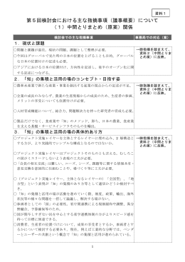 第5回検討会における主な指摘事項（議事概要）について （1）中間
