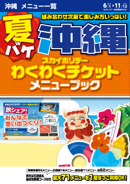 スカイホリデーわくわくチケット