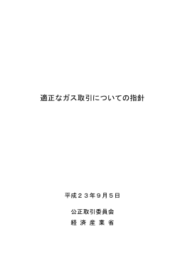 適正なガス取引についての指針（PDF：191KB）