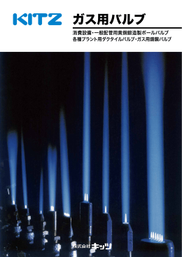 ガス用バルブ