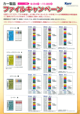 カボデンタルシステムズジャパン カー製品 ファイルキャンペーン
