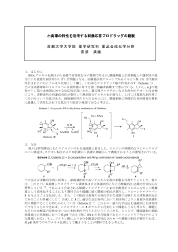 小員環の特性を活用する刺激応答プロドラッグの創製 京都大学大学院