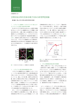 空間反転対称性を破る電子流体の新奇界面現象