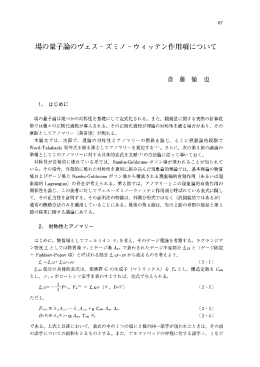 場の量子論のヴェスーズミノ ーウィ ッテン作用項について
