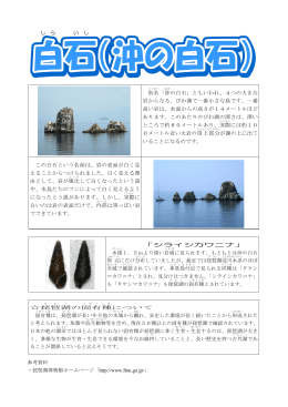別名「沖の白石」ともいわれ、4つの大きな 岩からなる、びわ湖で一番
