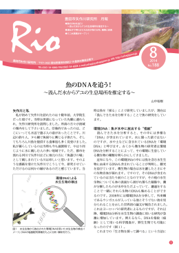 魚のDNAを追う！ - 豊田市矢作川研究所