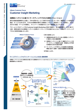 Customer Insight Marketing