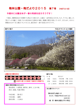 園内の梅 最新の開花情報（3月12日） 豊後鴬宿、八重豊後、御所紅