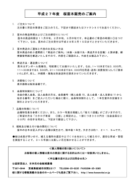 桜苗木の在庫状況 2015/11/18