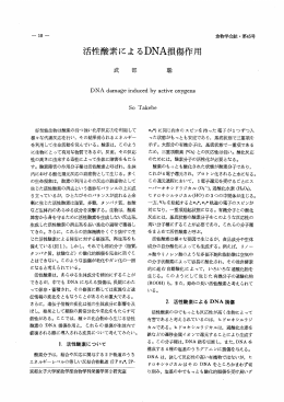 活性酸素によるDNA損 傷作用 - 京都女子大学学術情報リポジトリ