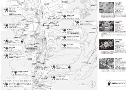 伊豆の国市桜の名所地図 2014